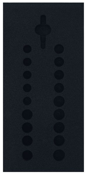 SW-Stahl Schaumeinlage, unbestückt, für Z3013-13, Z3013-EINLAGE13