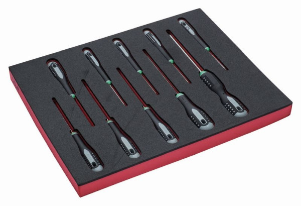 Bahco 2/3 Einlage, Schraubendreher, Torx + Torx mit Bohrung, 10-teilig, FF1F1004