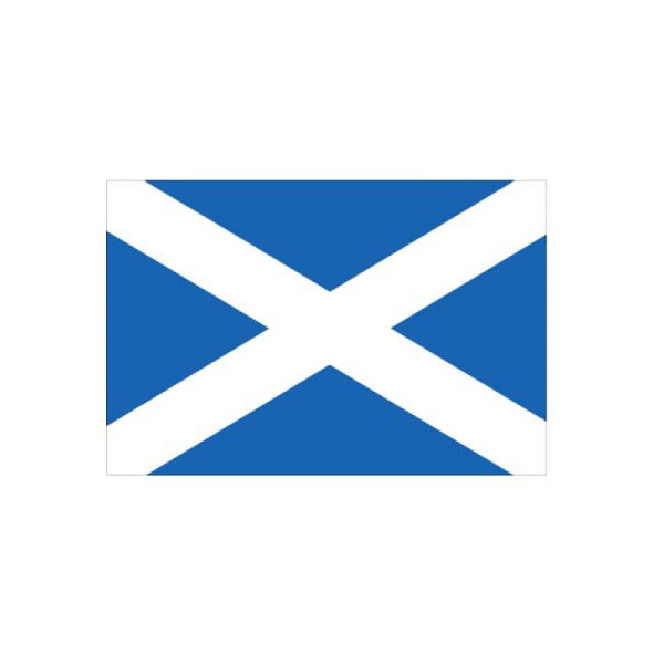 Stein HGS Länderflagge Schottland, 60 x 90 cm (Querformat), mit Seil und Schlaufe, FlagTop 110 g/m², für Fahnenmasten 6 m, ohne Hohlsaum, 27892