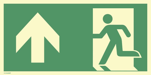 Moedel Notausgang links Pfeil oben, ISO 7010, Aluminium, nachleuchtend, 160-mcd, 594x297 mm, 101163