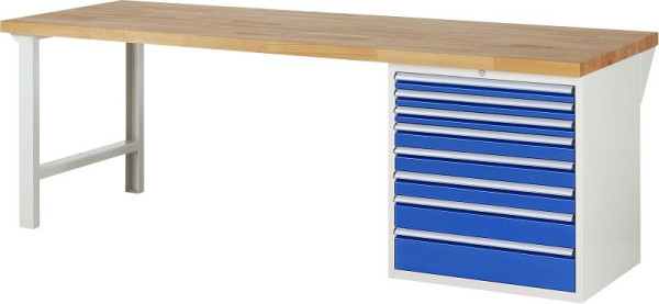 RAU Werkbank Serie 7000 - Modell 7619, B2500 x T900 x H840 mm, 13-7619A1-259B4S.11