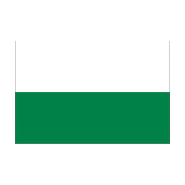 Stein HGS Landesflagge Sachsen (ohne Wappen), 60 x 90 cm (Querformat), mit Seil und Schlaufe, FlagTop 110 g/m², für Fahnenmasten 6 m, ohne Hohlsaum, 26528