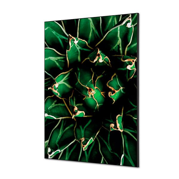 Showdown Displays Spannstoff Wanddekoration SET A1 Kaktus Grün, TFR22WA1-SET-I820