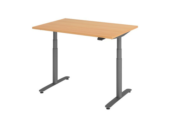 Hammerbacher Sitz-Steh-Schreibtisch elektrisch 120x80cm Buche/Graphit, VXDLR12/6/G