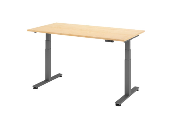 Hammerbacher Sitz-Steh-Schreibtisch elektrisch 160x80cm Ahorn, Arbeitshöhe 63,5-128,5 cm, VXDSM16/3/G