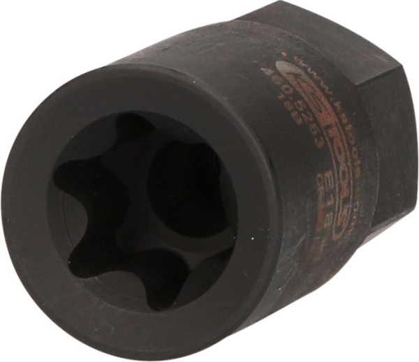 KS Tools Bremssattelstecknuss für MAN, E18, 460.5263, 4042146785478