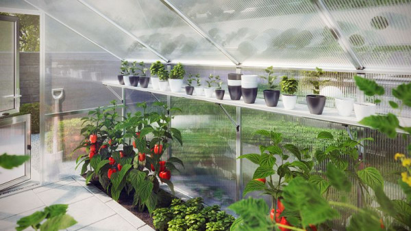 KGT Hängebord Aptasia III-s, für Gewächshaus, 26221000