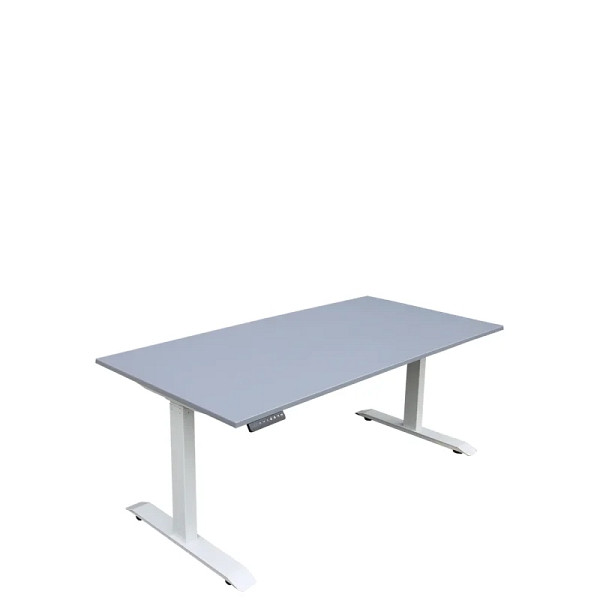 Lüllmann Elektrisch höhenverstellbarer Schreibtisch, 600-1250 x 1200 x 800 mm, lichtgrau, 114900