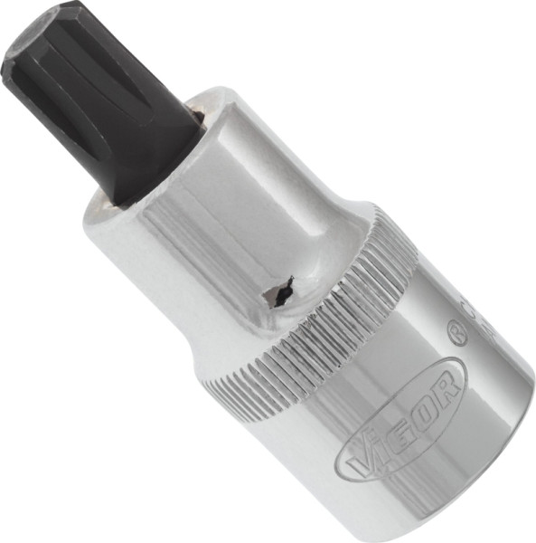VIGOR RIBE Schraubendreher-Einsatz, Vierkant hohl 12,5 mm (1/2 Zoll), Innen Keilprofil Ribe-CV, M10, Länge: 55 mm, VE: 5 Stück, V2207