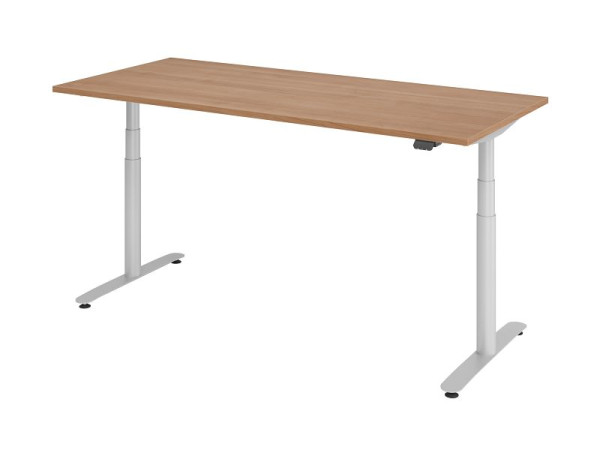 Hammerbacher Sitz-Steh-Schreibtisch elektrisch 180x80cm Nussbaum/Silber, VXDLR19/N/S