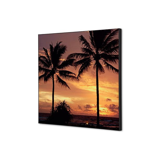 Showdown Displays Spannstoff Wanddekoration SET 40 x 40 Palmen Sonnenuntergang, TFR22W400-SET-I826