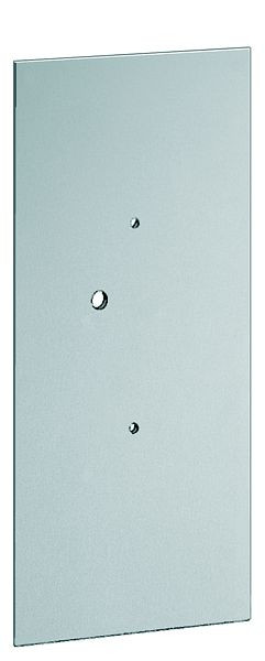 TCS Montageplatte silber eloxiert natur für PAK01-06 H338xB170 mm, ZAM1103-0010