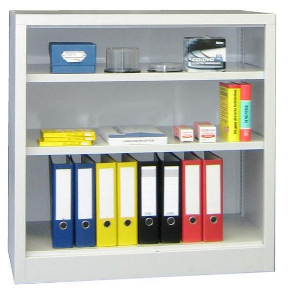 Pavoy Flügeltürenschrank 1000/500/1000, ohne Türen, Böden gepulvert, 31309-100-581-735