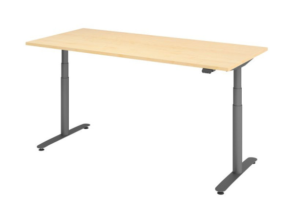Hammerbacher Sitz-Steh-Schreibtisch elektrisch 180x80cm Ahorn/Graphit, VXDLR19/3/G