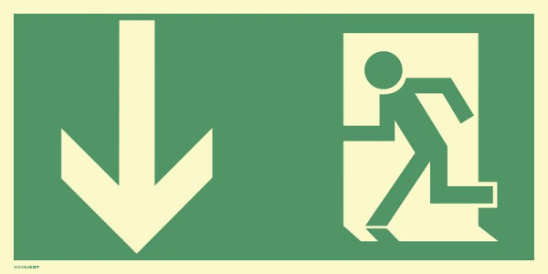 Moedel Notausgang, Kunststoff, langnachleuchtend, 160-mcd, 400x200 mm, 60472