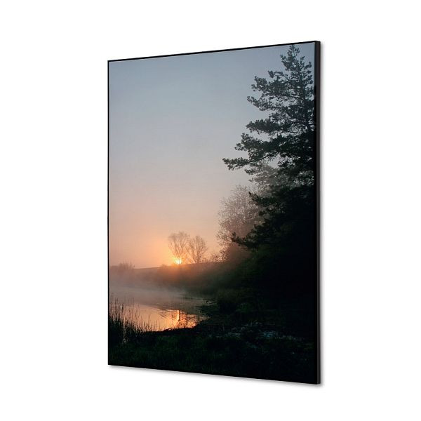 Showdown Displays Spannstoff Wanddekoration SET A2 Wald Sonnenaufgang, TFR22WA2-SET-I829