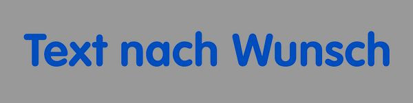 Schilder Klar Wortschild Text nach Wunsch, 80x20x1 mm Kunststoff, 45400/71