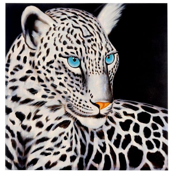 Mendler Ölgemälde Weißer Leopard, 100% handgemaltes Wandbild Gemälde XL, 100x100cm, 44724