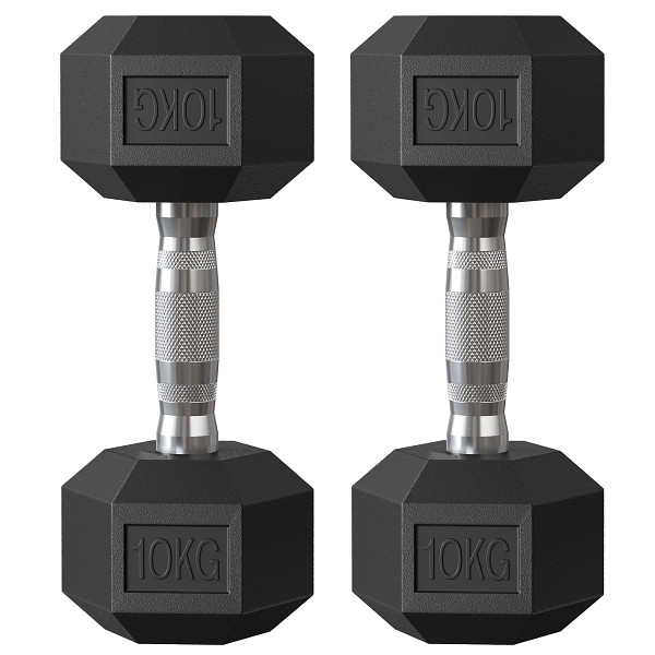 SONGMICS Hantel, Schwarz, 31x13,5x11 cm, SYL010B01