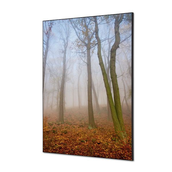 Showdown Displays Spannstoff Wanddekoration SET A1 Herbstnebel, TFR22WA1-SET-I823