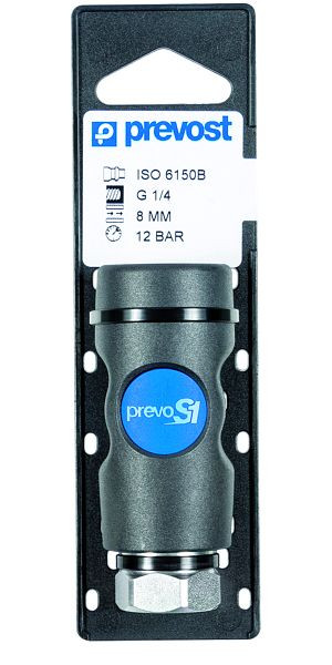 Prevost Kupplung Iso B mit zylindrischem Innengewinde auf Lochplatten, IG BSPP= G 1/4, ISI 081101CP