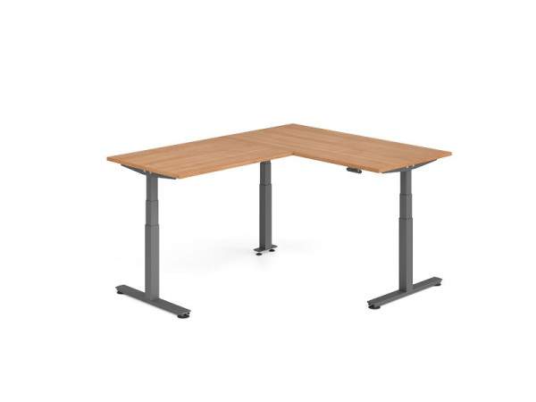 Hammerbacher Sitz-Steh-Winkeltisch 200x160cm Nussbaum/Graphit, VXDSMW1612/N/G
