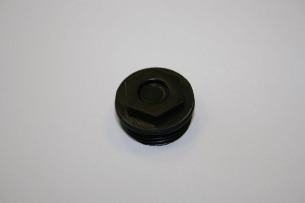 ELMAG Verschlußschraube mit Dichtring (Nr. 17, 18) für Modell RG 1/2', 9402517