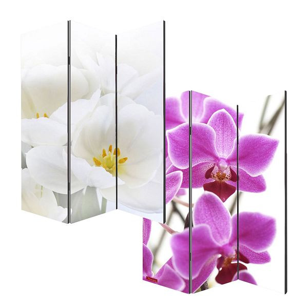 Mendler Foto-Paravent Paravent Raumteiler Trennwand M68, 180x120cm, Orchidee, 15729
