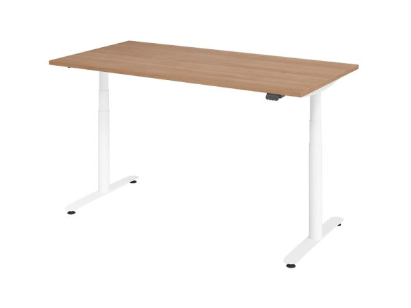 Hammerbacher Sitz-Steh-Schreibtisch elektrisch 160x80cm Nussbaum/Weiß, VXDLR16/N/W