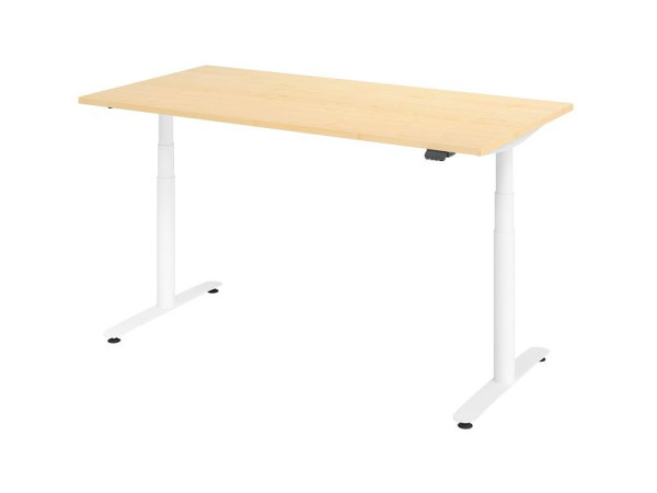 Hammerbacher Sitz-Steh-Schreibtisch elektrisch 160x80cm Ahorn/Weiß, VXDLR16/3/W