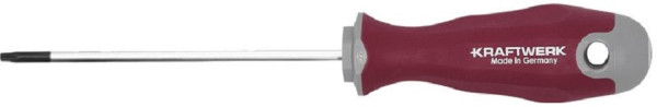 Kraftwerk PRO LINE TX Schraubendreher TX10 100, 305.430.010