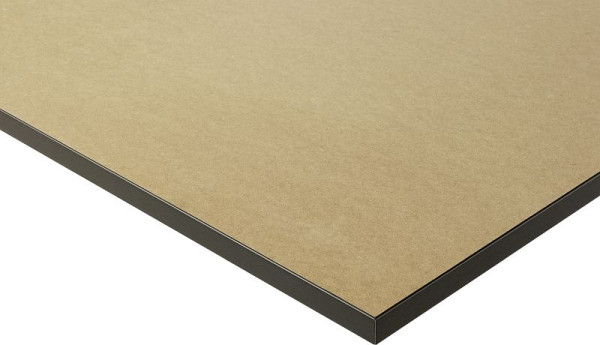 RAU MDF Arbeitsplatte, ABS-Kante schwarz, B750 x T800 x S22 mm, F-075-080-22