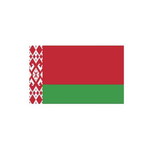 Stein HGS Länderflagge Belarus (Weißrussland), 300x120cm, mit Kunststoff-Karabiner, FlagTop 160 g/m², für Fahnenmasten 7 m mit Hohlsaum, 26789