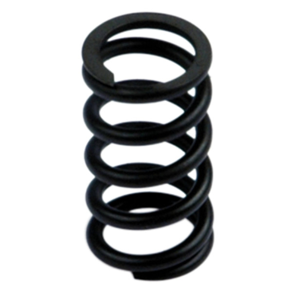 Metal Work Feder »SYNTESI«, BG 1, 0-4 bar, Antikorrosion, 145634