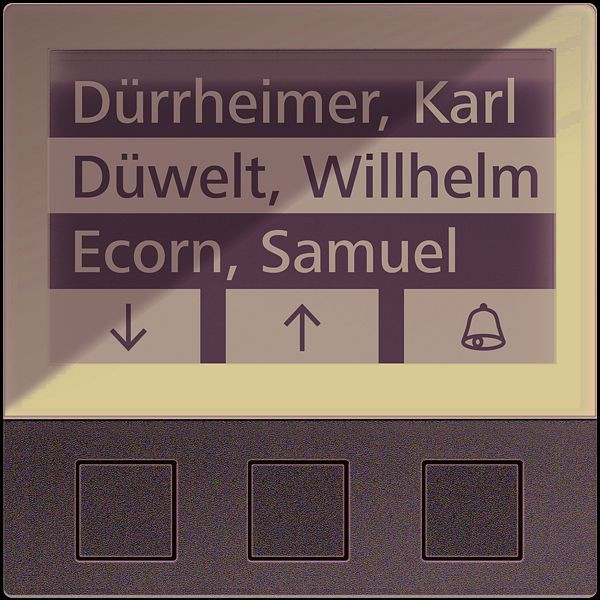 TCS Displaymodul mit 3 Tasten Serie AMI, für bis zu 256 Wohneinheiten, silber, AMI11603-0010