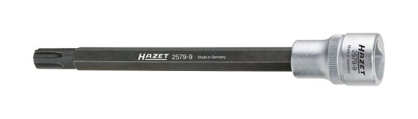 Hazet Zylinderkopf Schraubendreher-Steckschlüsseleinsatz, Vierkant hohl 12,5 mm (1/2 Zoll), Polydrive Profil, 168 mm, 2579-9