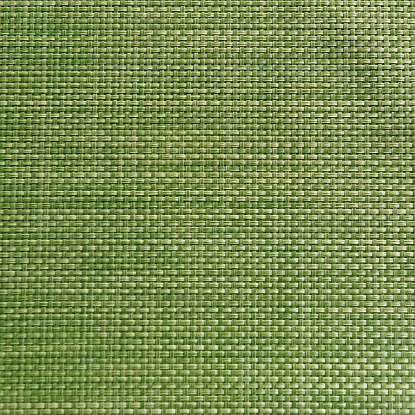 APS Tischset - apfelgrün, 45 x 33 cm, PVC, Schmalband, VE: 6 Stück, 60521