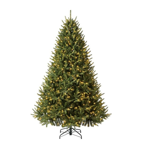 Evergreen Künstlicher Weihnachtsbaum Richmond Tanne, Inkl. LEDs, 228 cm, PGTG76P4B42L03