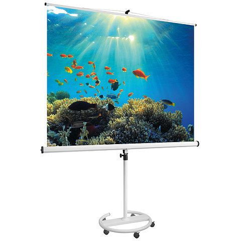 Magnetoplan Stativ-Leinwand mobil, Größe: 1800 x 1800 mm, 6100314