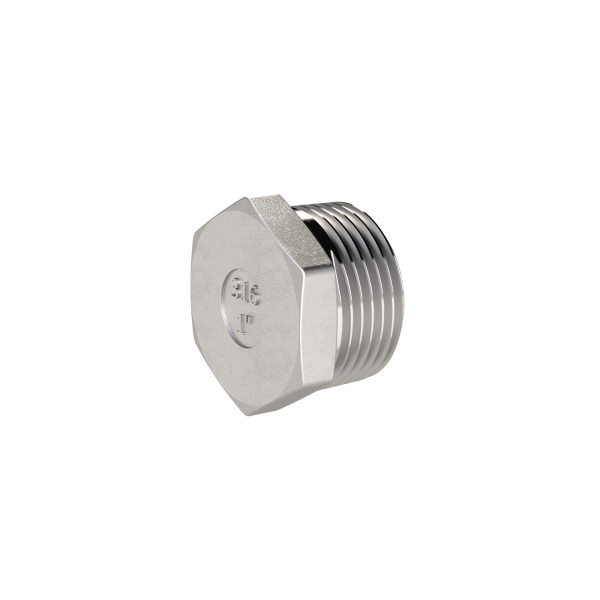 Riegler Verschlussstopfen, Sechskant, R 1/2, AG, SW 22, ES 1.4408, 118578