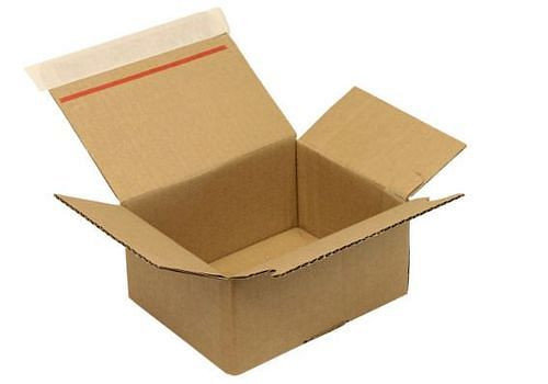 TransPak Automatikkarton-Faltkarton 1-wellig, mit SK-Verschluss, 160 x 130 x 70 mm, Format C6, Qualität 1.31B, VE: 40 Stück, 299443