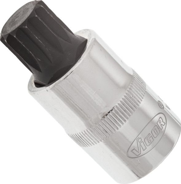 VIGOR Innenvielzahn Schraubendreher-Einsatz (XZN), Vierkant hohl 12,5 mm (1/2 Zoll), Innen Vielzahn Profil XZN, M16, VE: 5 Stück, V2100