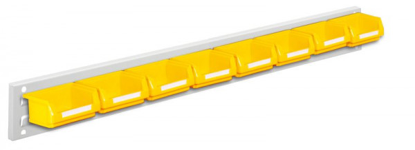 Kappes RasterPlan Wandschiene Schlitzplatte Set 2, L 920 mm x H 100 mm, RAL 7035, 8 x Lagersichtkästen Größe 8, 4202.01.5213