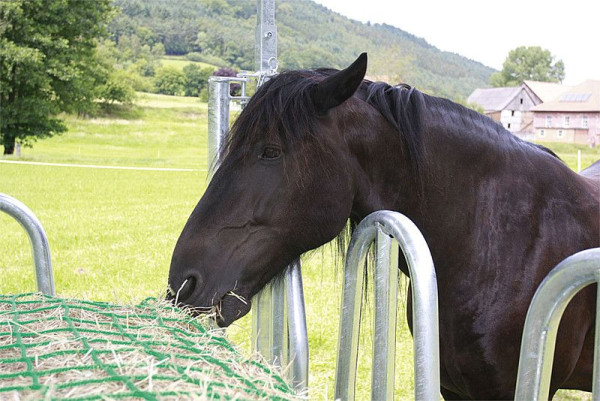 Patura Futtersparnetz 3,60 x 2,40 m Maschenweite 4,5 cm mit Gummispannseil und Schraubgliedern, 303843