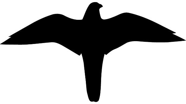 SafetyMarking Hinweisschild, Symbol -Falke-, zum verkleben auf Fensterscheiben, BxH 25,9x13,9 cm, Folie, selbstklebend, 21.5875