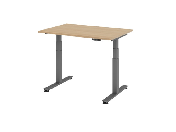 Hammerbacher Sitz-Steh-Schreibtisch elektrisch 120x80cm Eiche, VXDSM12/E/G
