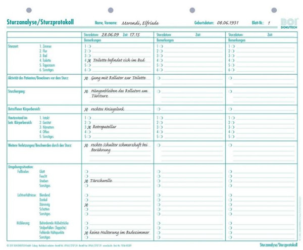 BOI Sturzanalyse/Sturzprotokoll, VE: 50 Stück, 9206-00389
