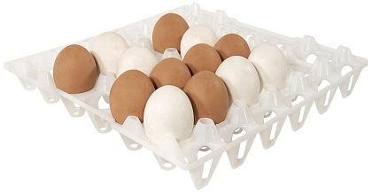 Contacto Tablett für 30 Eier, weiß, 8034/030