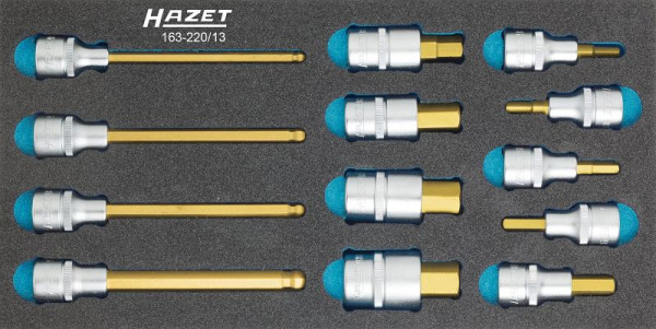 Hazet Schraubendreher-Steckschlüsseleinsatz Satz, Vierkant hohl 12,5 mm (1/2 Zoll), Innen-Sechskant Profil, Anzahl Werkzeuge: 13, 163-220/13