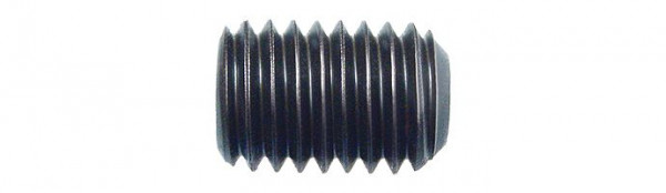 Karnasch Schraube 6mm, VE: 500 Stück, 201305
